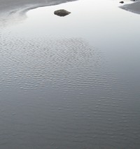 zen tide