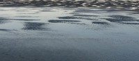 zen tide