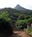 Adams Peak from trail