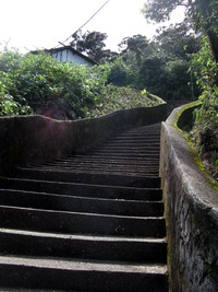 Adams Peak trail