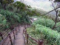 Adams Peak trail