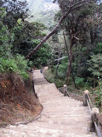 Adams Peak trail