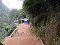 Adams Peak trail