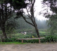 Ambewela station bench