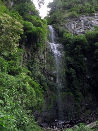 Bajo Mono Cascada Alejandro