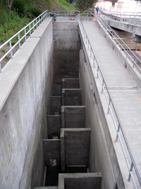 Ballard Locks empty fish ladder