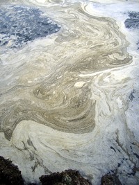 Ballard Locks water pattern