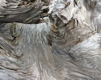 Bar View Jetty wood pattern