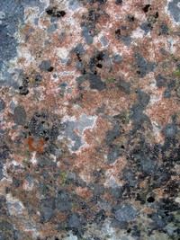 Bearhead Mountain rock pattern