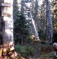 Bearhead Mt and Carbon Trail junction