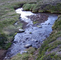 Berkeley Park stream