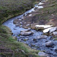 Berkeley Park stream