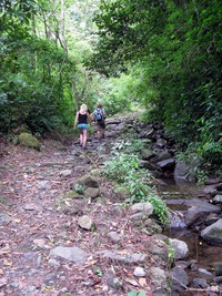 Bojo Mono Cascada Alejandro walk