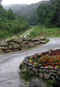 Boquete zip line driveway