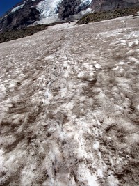 Camp Muir snow trail
