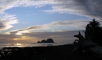 Cape Alava sunset