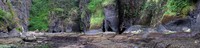 Cape Flattery inlet pano