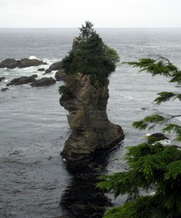 Cape Flattery poker