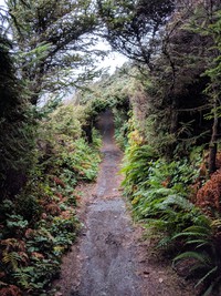 Cape Sabastian tunnel