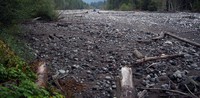 Carbon River