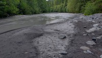 Carbon River