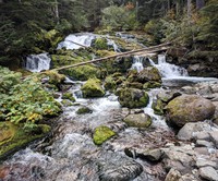 Carbon River Camp nearby creek