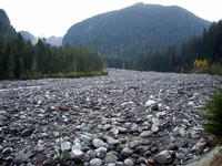 Carbon River Trail