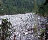 Carbon River Trail swinging bridge
