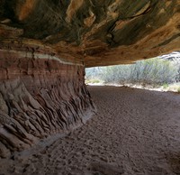 Cave Spring Trail