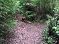 Cedar Butte trail either way is good