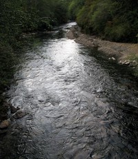 Cedar River at Landsburg