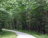 Cedar River trail