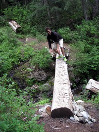 Charlie on a twister log