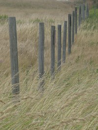 Clallam county park fence