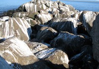 Columbia River south jetty bird poop
