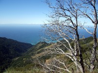 Cone Peak lookout trail