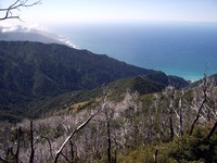 Cone Peak lookout trail