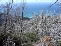 Cone Peak lookout trail