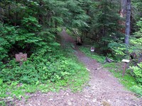 Cowlitz Divide Trailhead