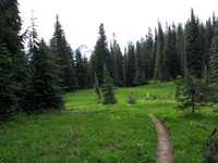 Cowlitz Divide trail
