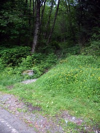 Dirty Harrys Balcony Trailhead