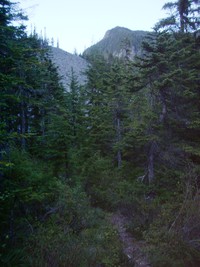 Dirty Harrys Balcony somewhere above in a rocky bowl