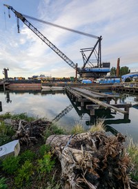 Duwamish Crane