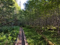 Echo and Lost Lakes trail
