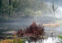 Flaming Geyser pond