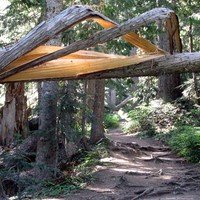 Frying Pan Creek Summerland trail