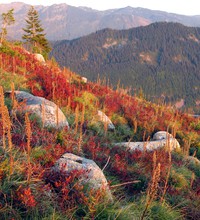 Granite Mountain trail