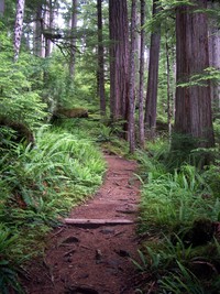Green Lake trail