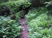 Green Lake trail
