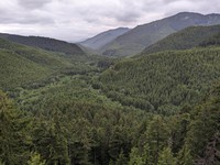 Greenwater River watershed